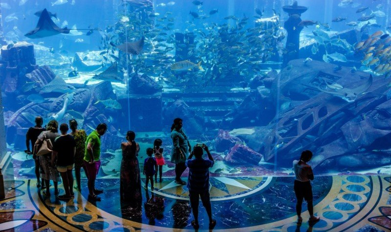 Lost Chamber Aquarium - places to visit when in Dubai