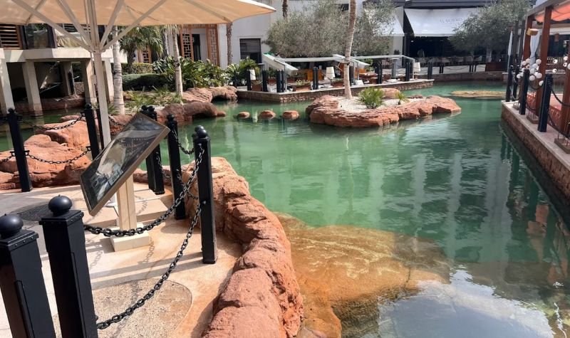 Dubai Turtle Rehabilitation Project - Indoor Places To Visit In Dubai For Free Dubai Turtle Rehabilitation Project - Indoor Places To Visit In Dubai For Free