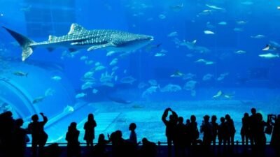 Indoor Places To Visit In Dubai For Free