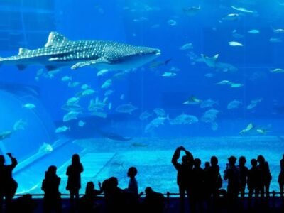 Indoor Places To Visit In Dubai For Free