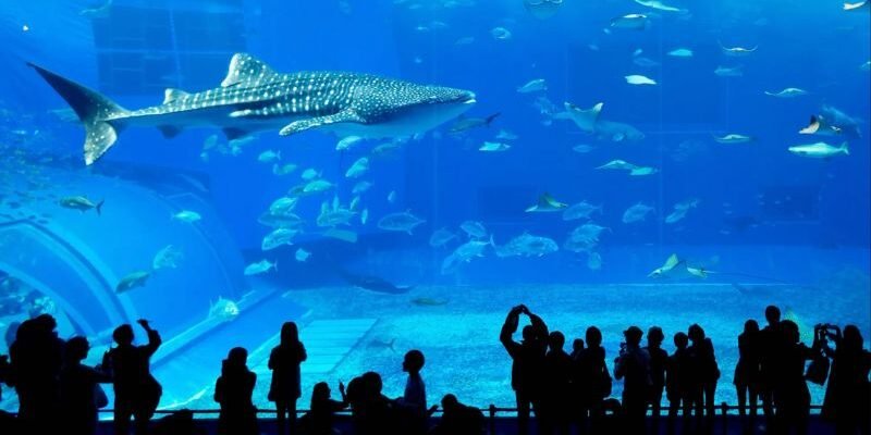 Indoor Places To Visit In Dubai For Free