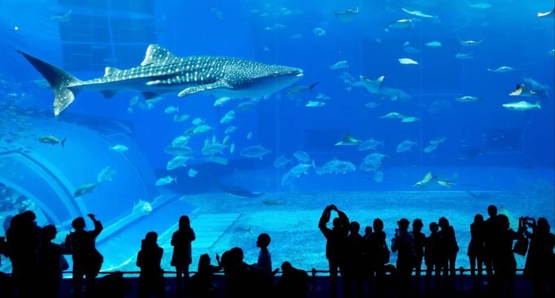 Indoor Places To Visit In Dubai For Free