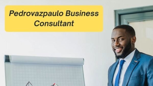 Pedrovazpaulo Business Consultant