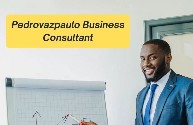 Pedrovazpaulo Business Consultant